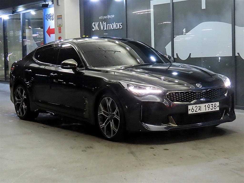 스팅어 가솔린 2.0 터보 2WD 플래티넘 2019년식