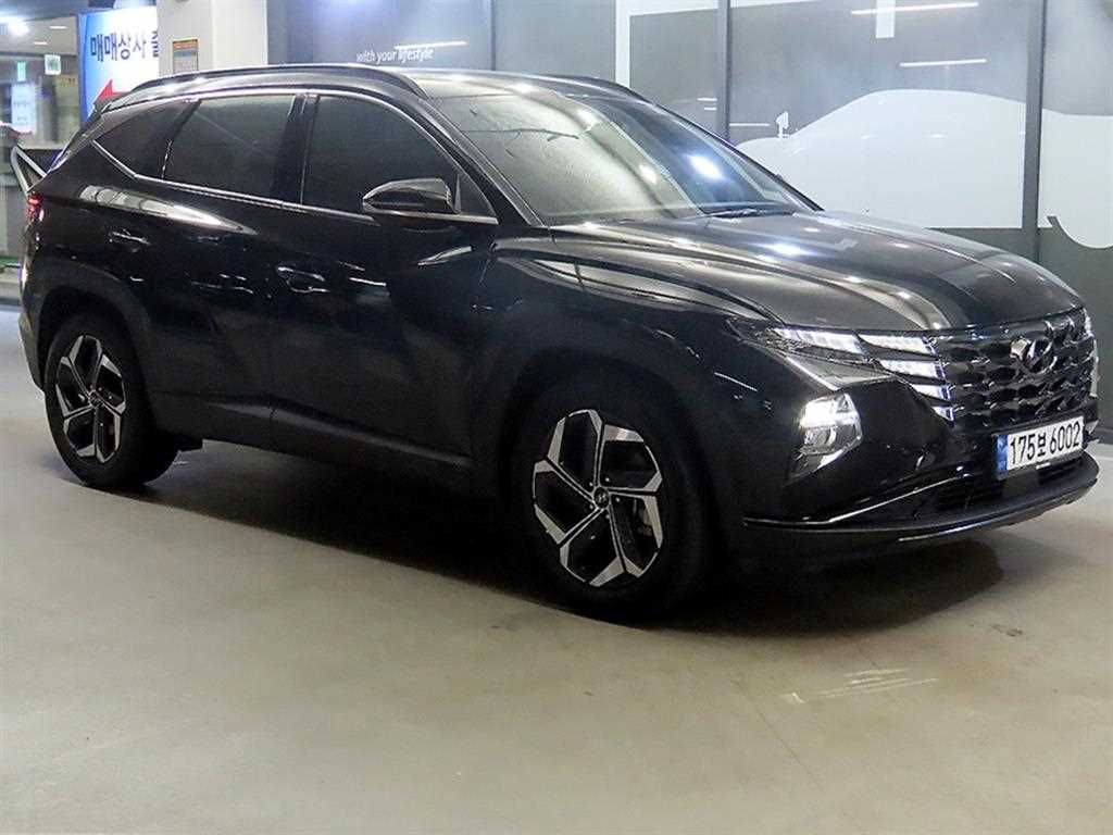 투싼 (NX4) 2022년식
