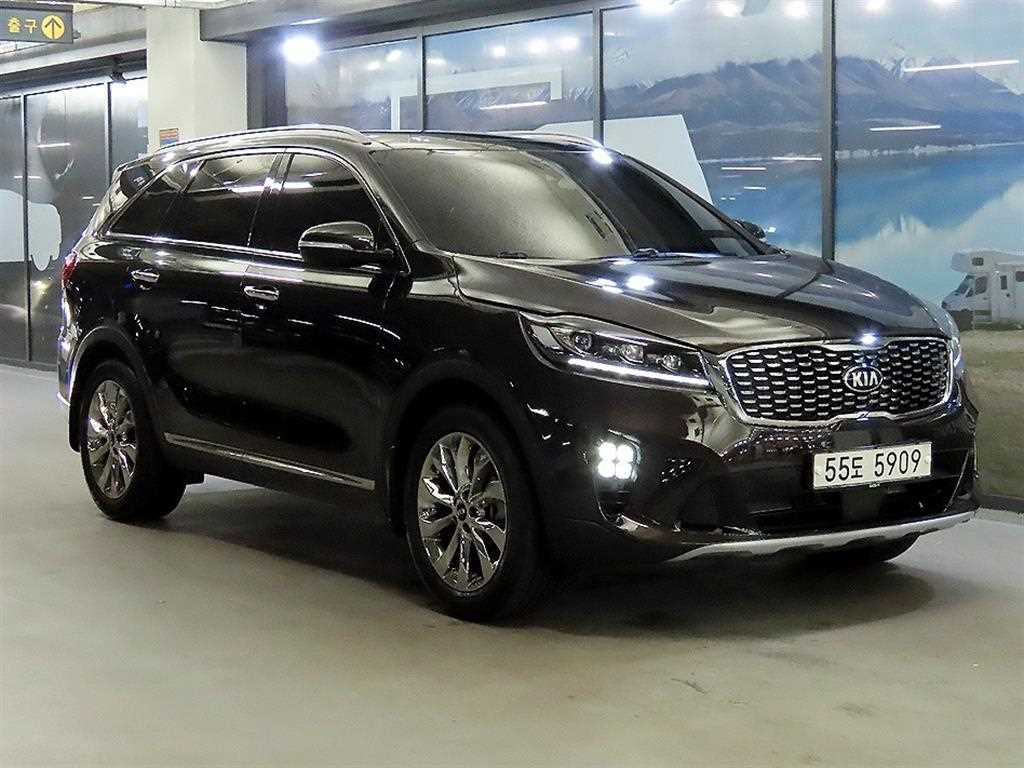 더 뉴 쏘렌토 디젤 2.2 2WD 노블레스 2019년식