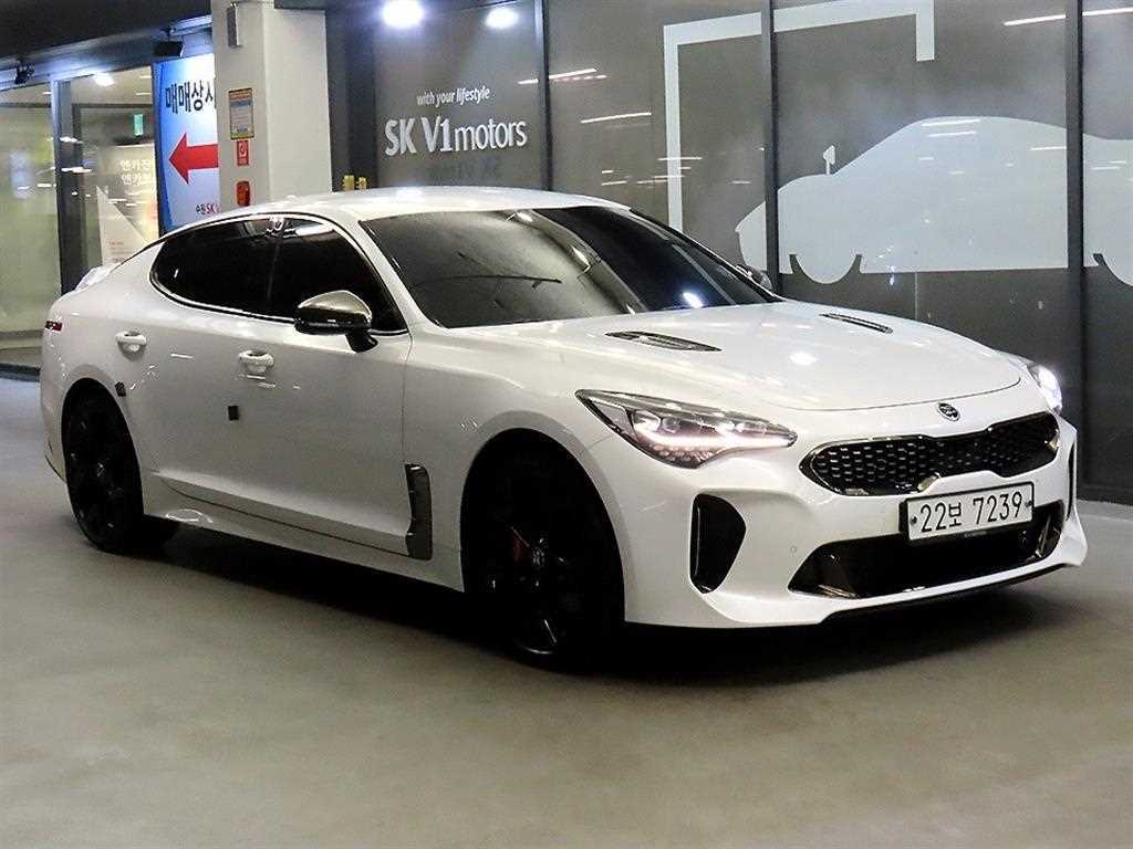 스팅어 가솔린 2.0 터보 AWD 플래티넘 2018년식