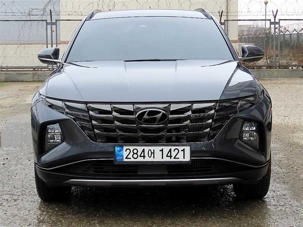 투싼 (NX4) 2021년식