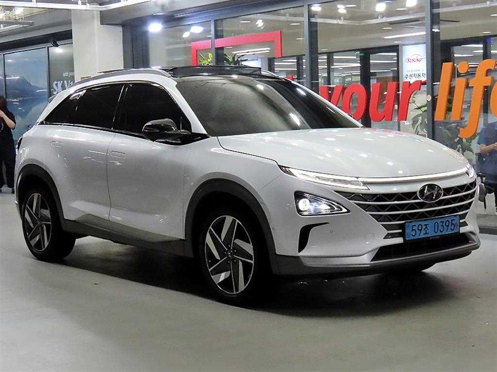 넥쏘 프리미엄 2024년식
