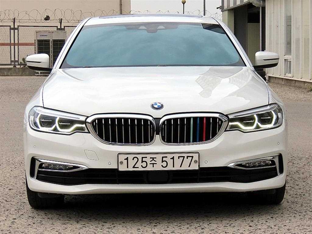 5시리즈 (G30) 530i xDrive 럭셔리 플러스 2018년식