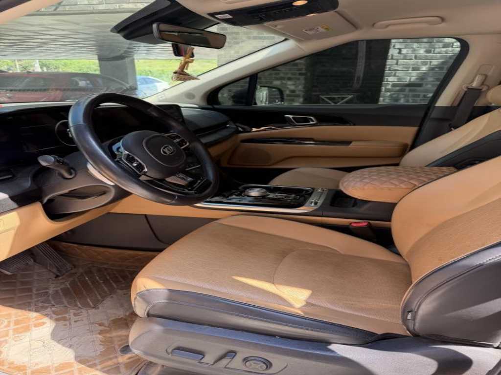 KIA Carnival - Vista 4