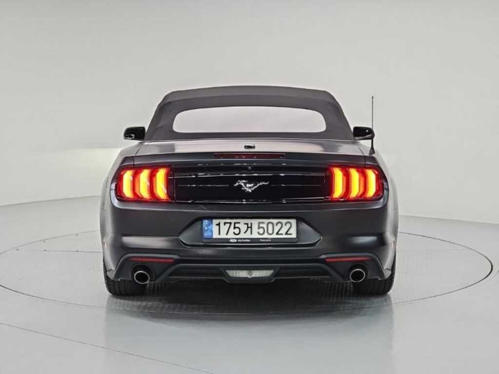Ford Mustang - Vista 4