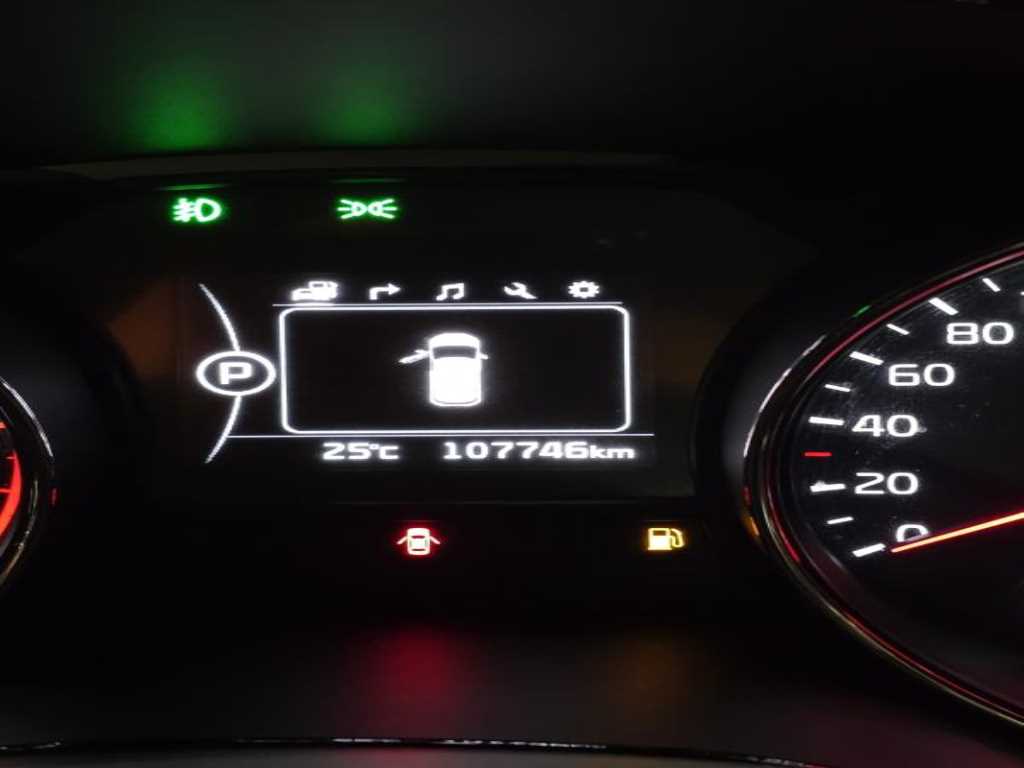KIA Carnival - Vista 4