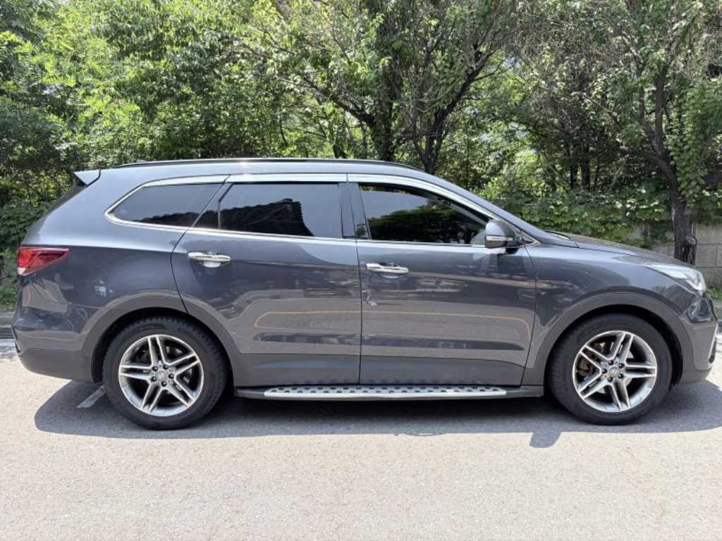 HYUNDAI Maxcruz - Vista 4