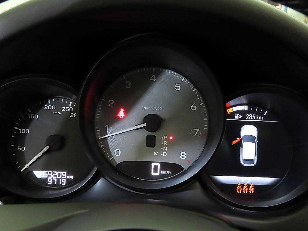 Porsche Macan Gasoline 2.9 S 10
