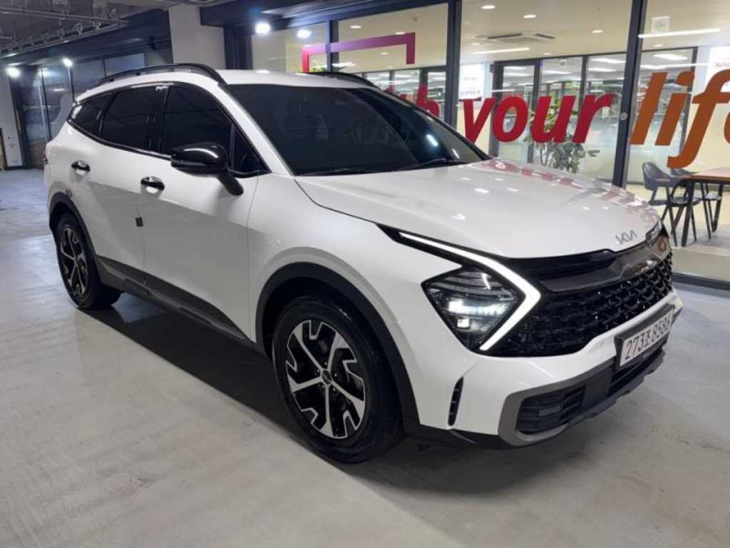 1.6 터보HEV 2WD 시그니처 그래비티 2022년식