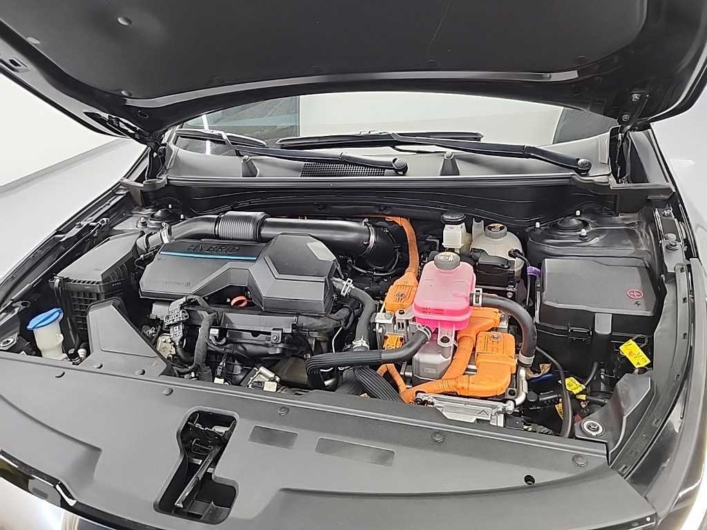 KIA Sportage - Vista 5