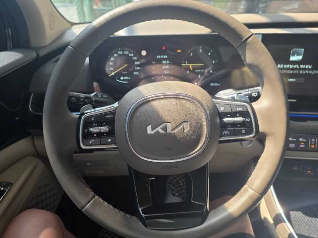 KIA Carnival - Vista 5
