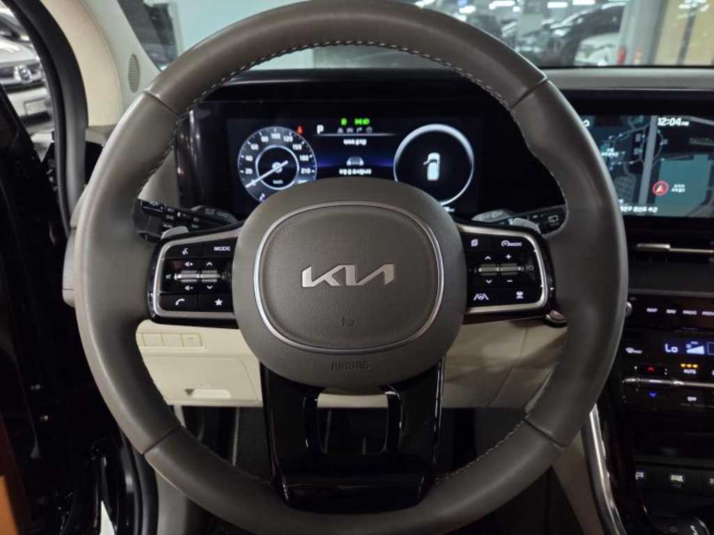 KIA Carnival - Vista 5
