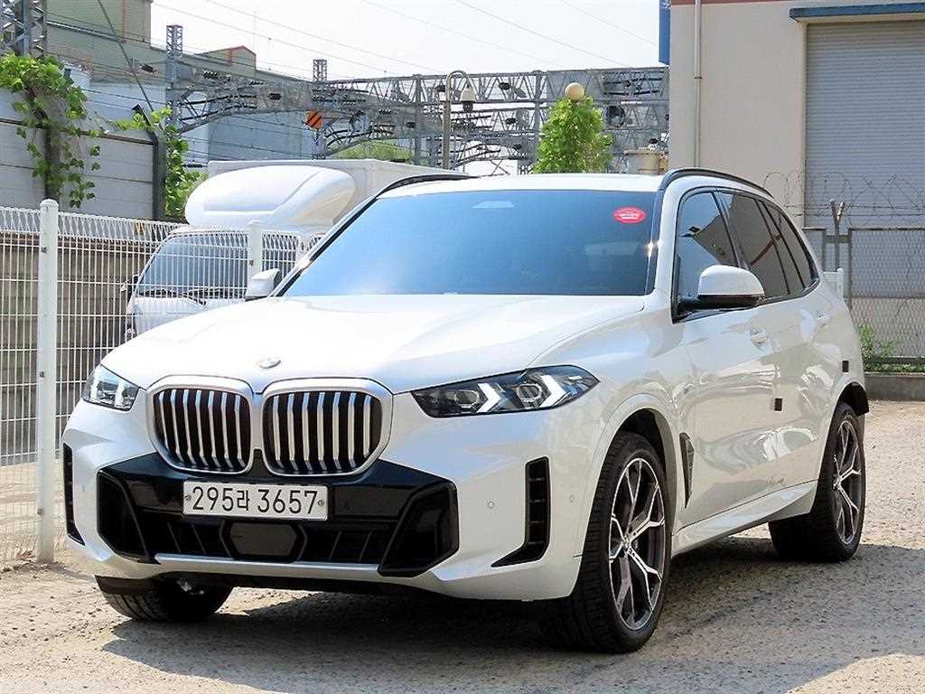 BMW X5 xDrive 40i M 스포츠 사진 2/20