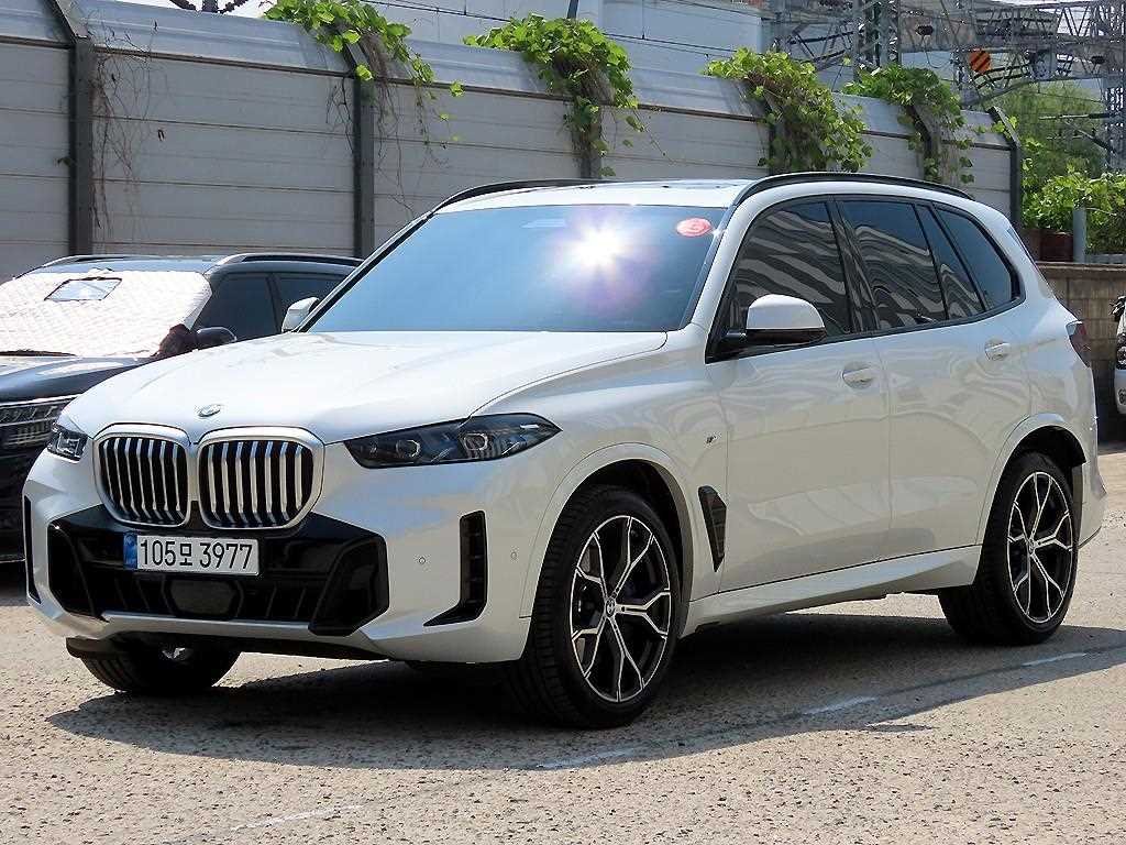 BMW X5 xDrive 40i M 스포츠 사진 2/20