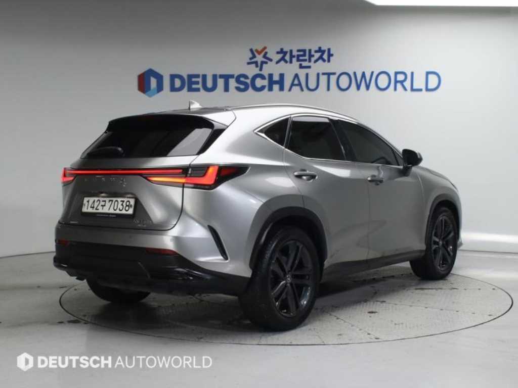 렉서스 NX 프리미엄 사진 2/20