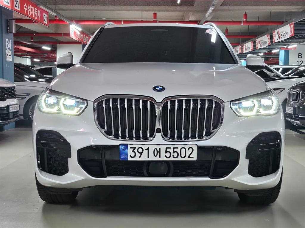 BMW X5 xDrive 45e M 스포츠 사진 2/19