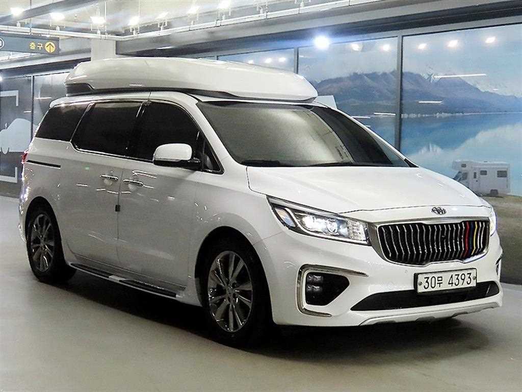 더 뉴 카니발 2019년식