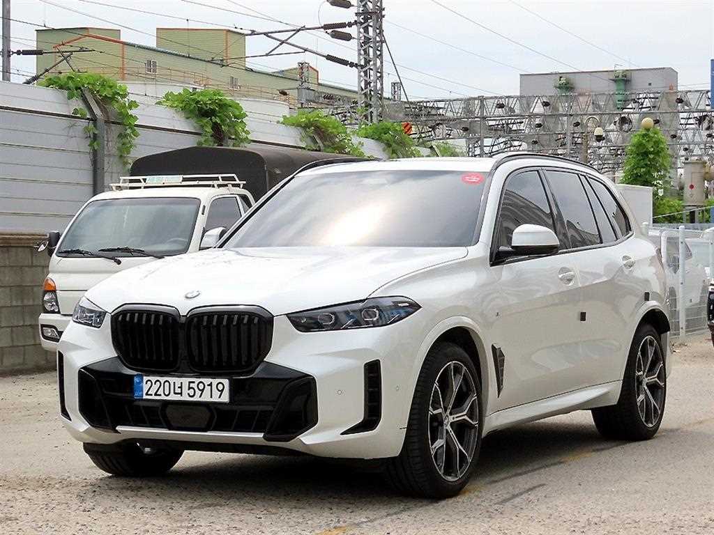 BMW X5 xDrive 30d M 스포츠 사진 2/20