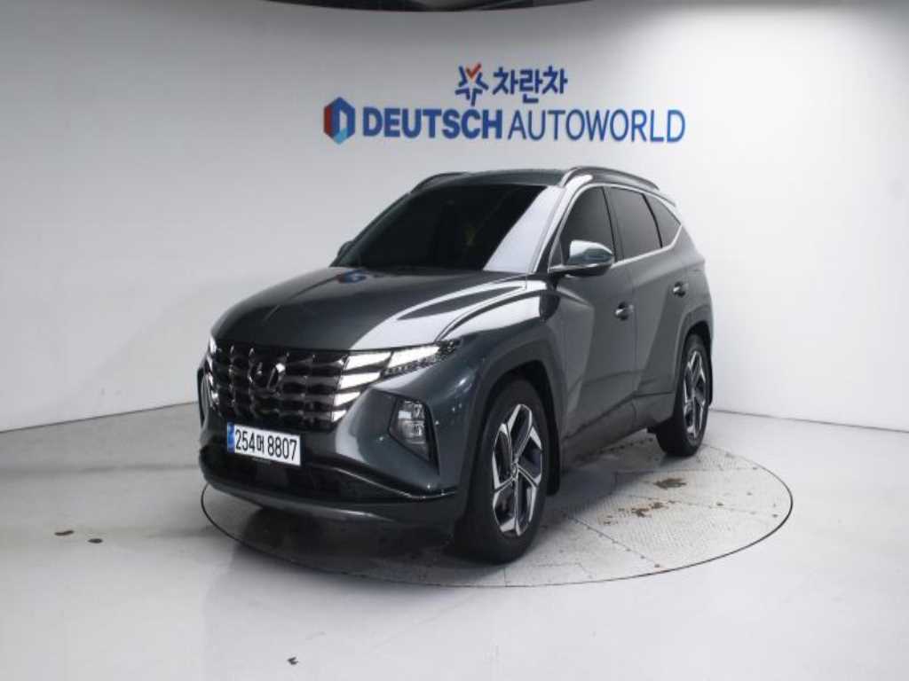 투싼 (NX4) 2021년식