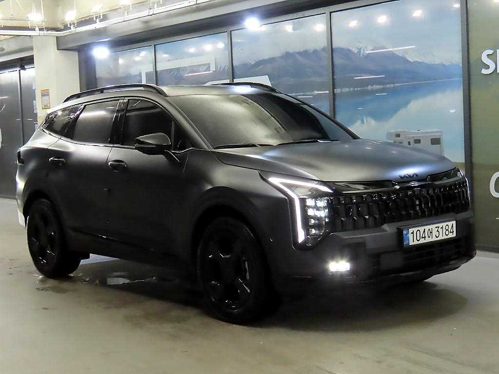 1.6 터보HEV 2WD 시그니처 X-라인 2025년식