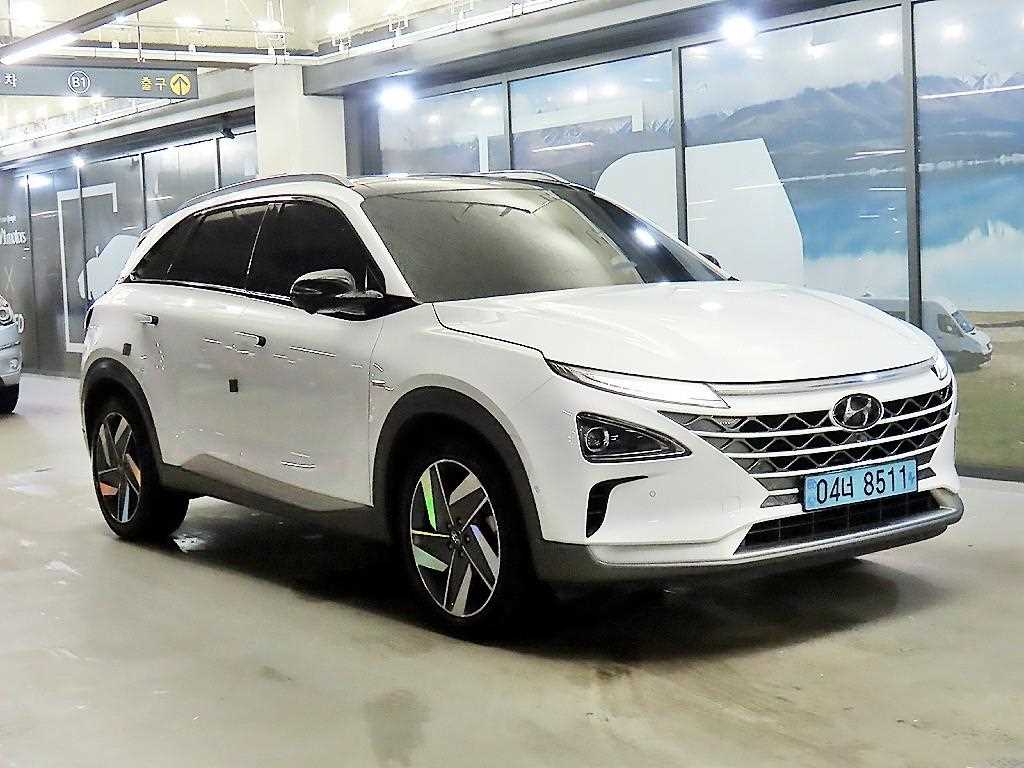 넥쏘 프리미엄 2021년식
