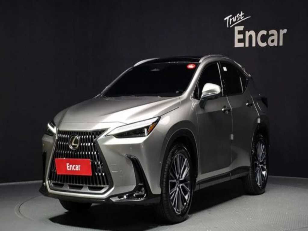 NX 350h 력셔리 2025년식