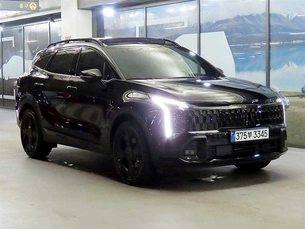1.6 터보HEV 4WD 시그니처 2025년식