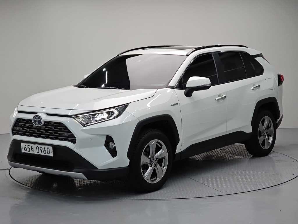 RAV4(5세대) 2.5 4WD 하이브리드 LTD 2019년식