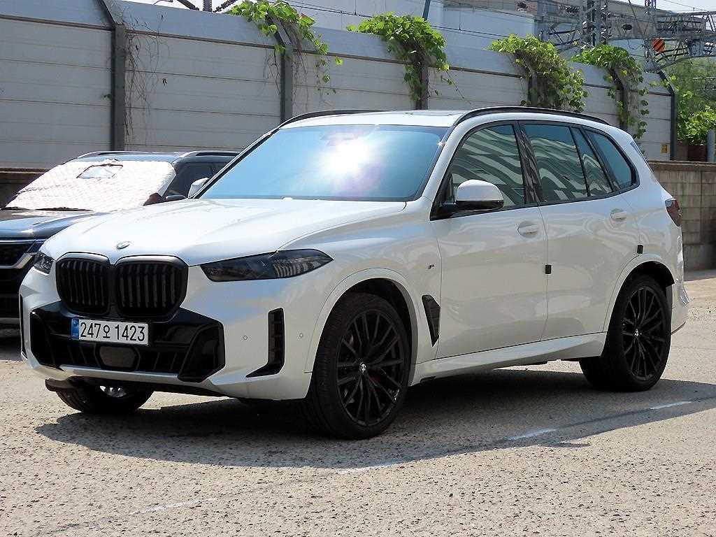 BMW X5 xDrive 40d M 스포츠 사진 2/20
