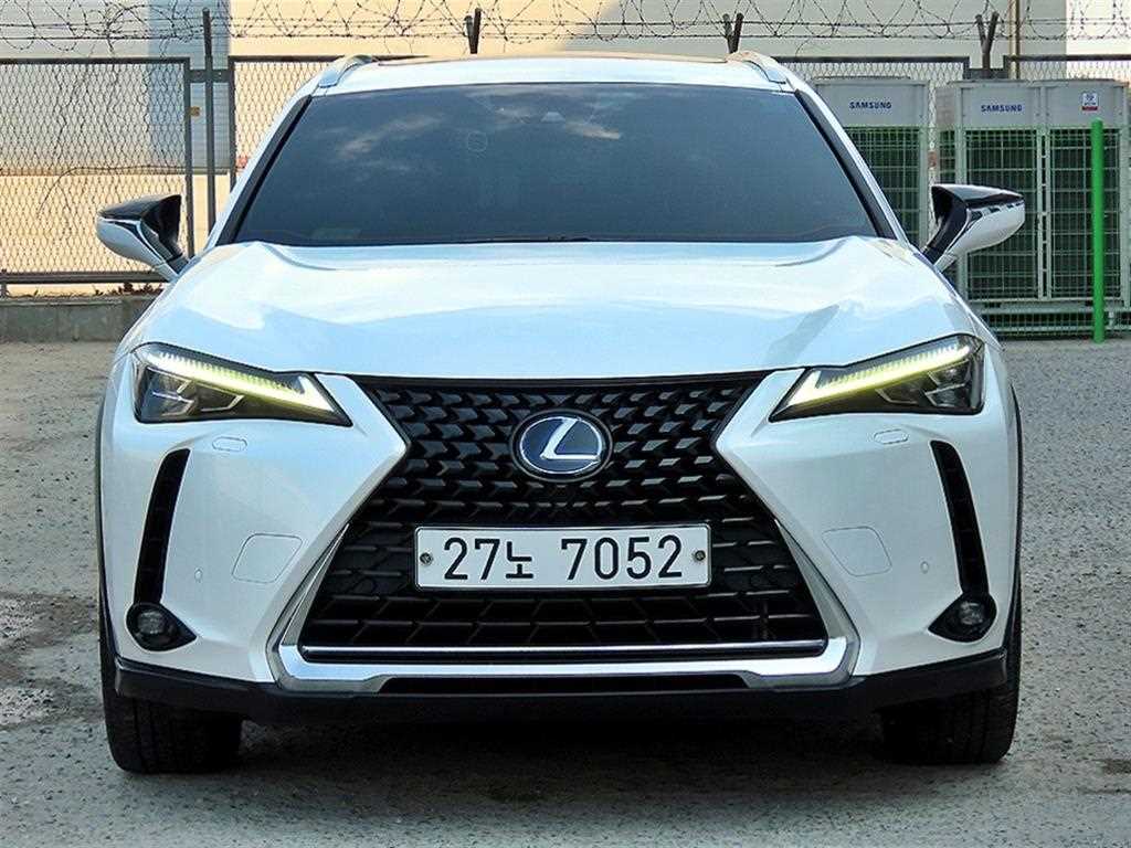 UX 250h 2.0 AWD 2019년식