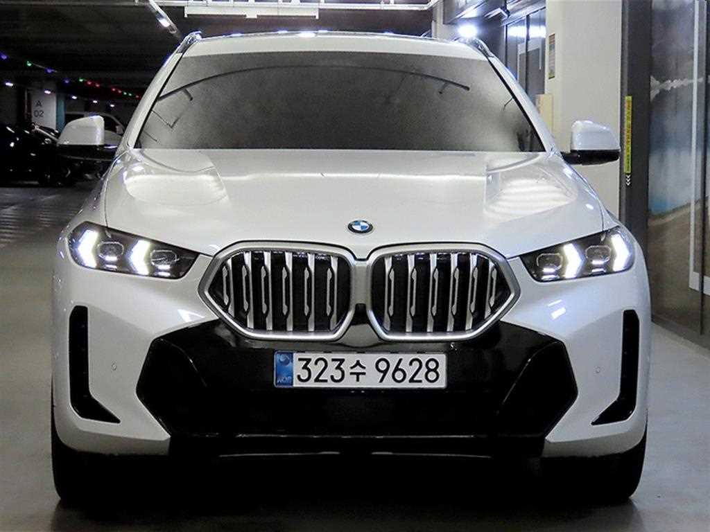 BMW X6 xDrive 40i M 스포츠 사진 2/20