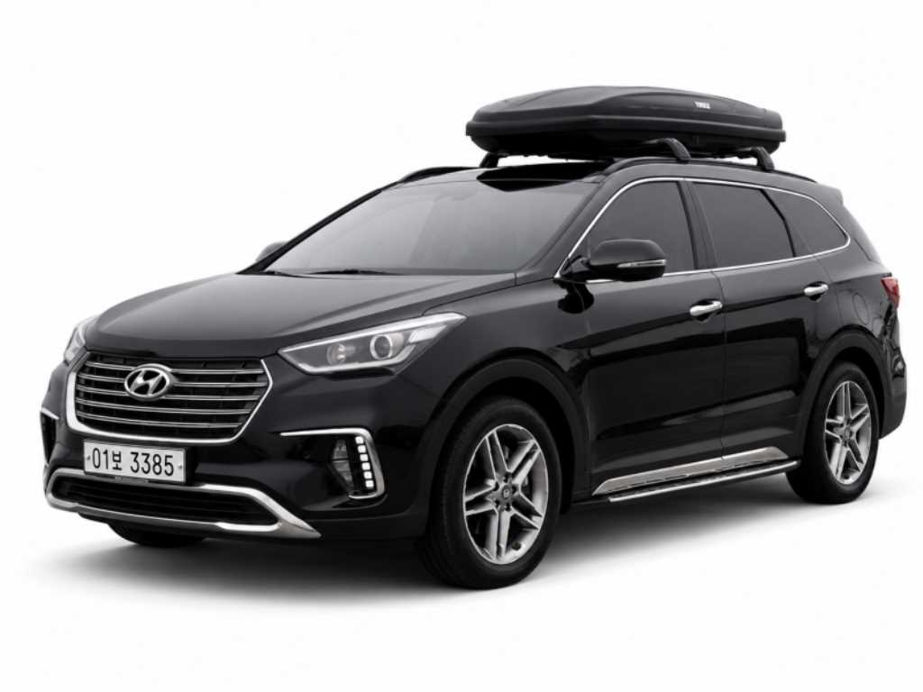 더뉴맥스크루즈 E-VGT R2.2 2WD 프레스티지 2018년식