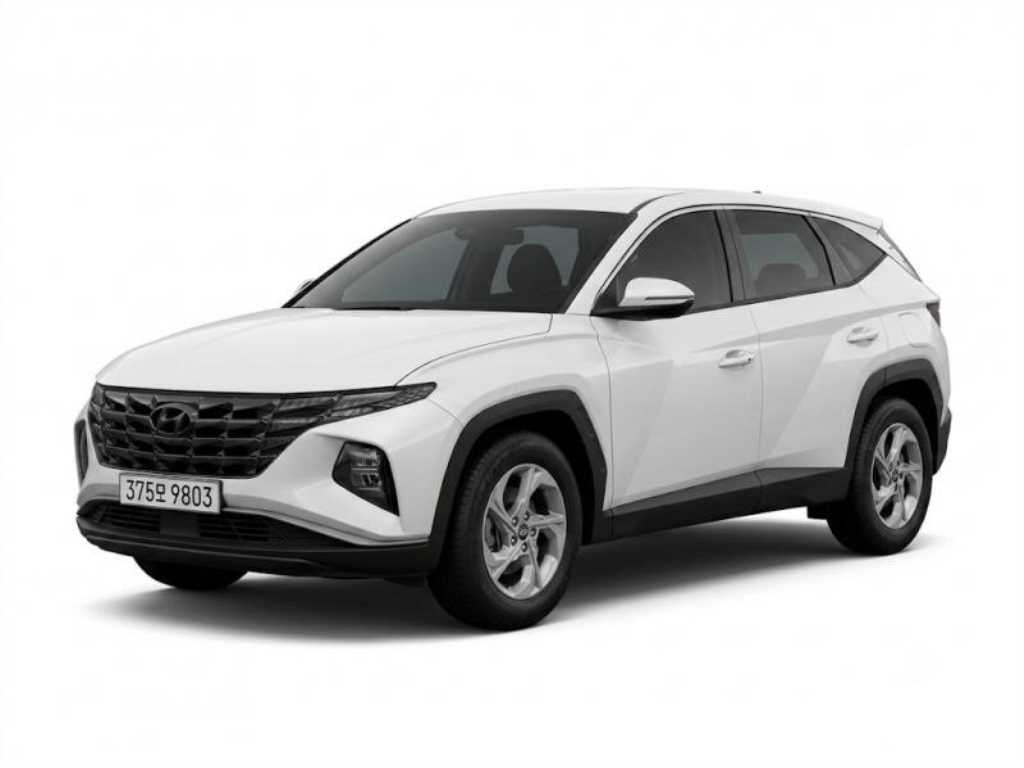 투싼 (NX4) 디젤 2.0 2WD 모던 2021년식