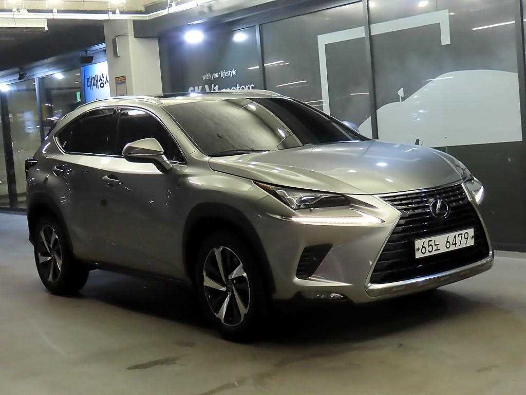NX 300h 슈프림 2019년식