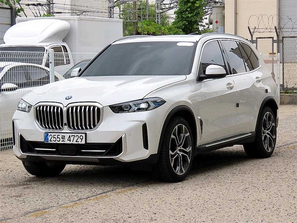 BMW X5 xDrive 40i xLine 사진 2/20