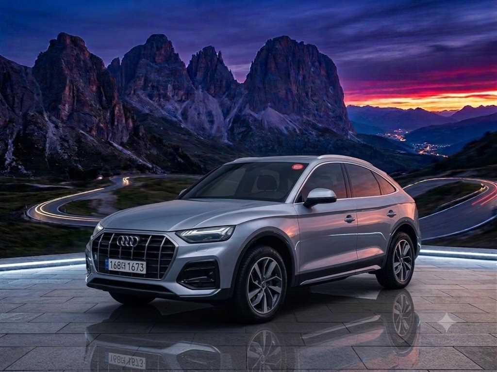 Q5 (FY) 2022년식