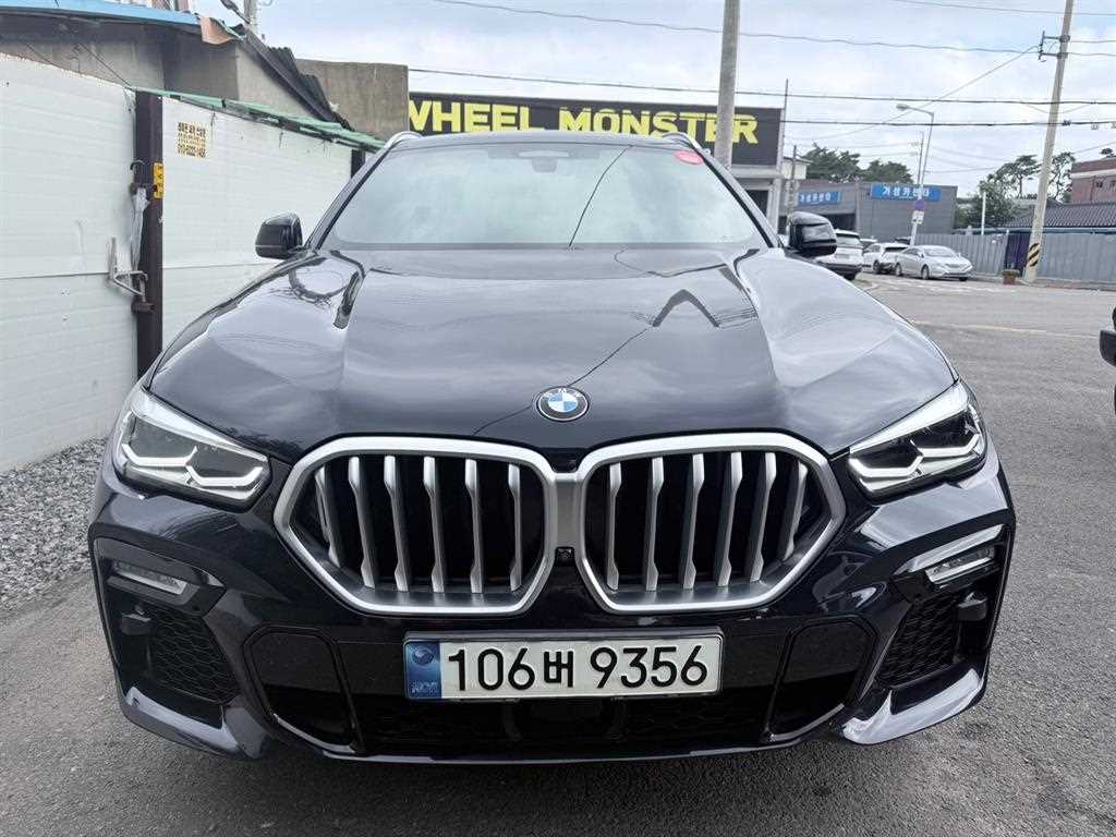BMW X6 xDrive 30d M 스포츠 사진 2/20