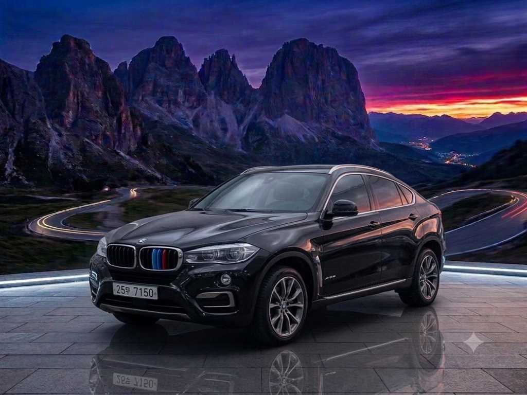 X6 (F16) xDrive 30d 2015년식