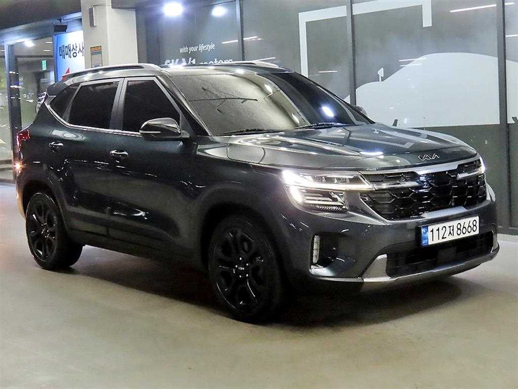 더 뉴 셀토스 가솔린 1.6 터보 4WD 그래비티 2024년식