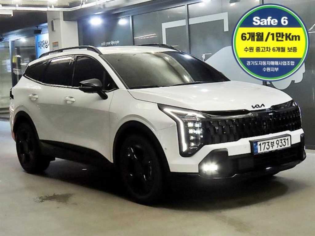 1.6 터보HEV 2WD 시그니처 X-라인 2025년식