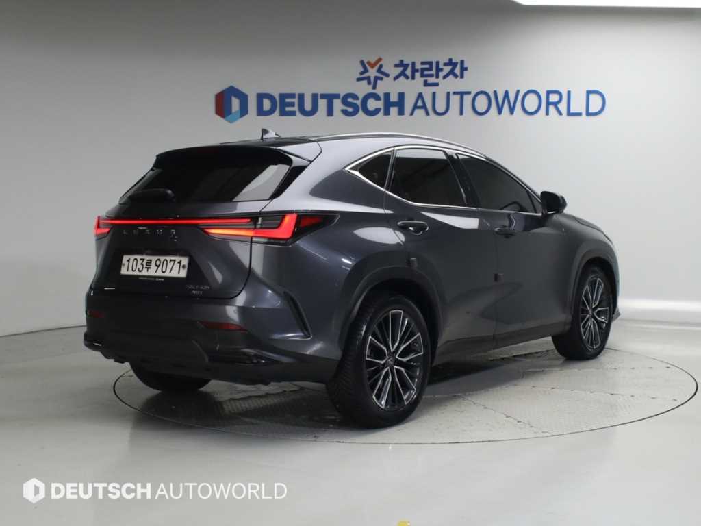 렉서스 NX 력셔리 사진 2/20