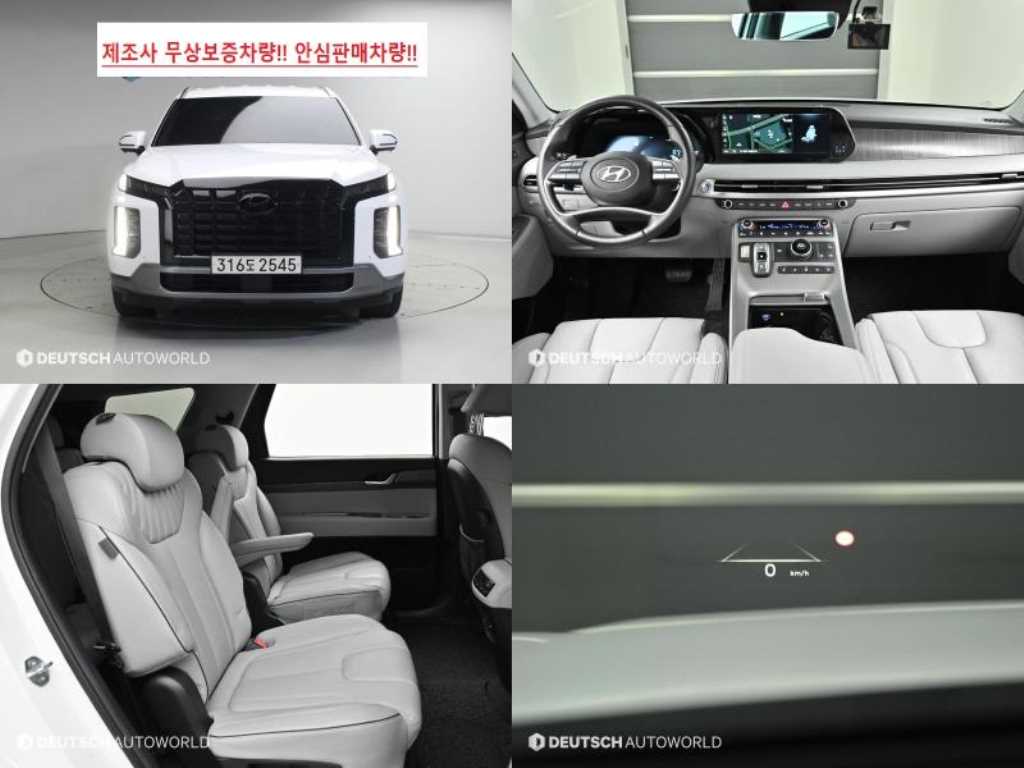 더 뉴 팰리세이드 디젤 2.2 2WD 르블랑 2024년식