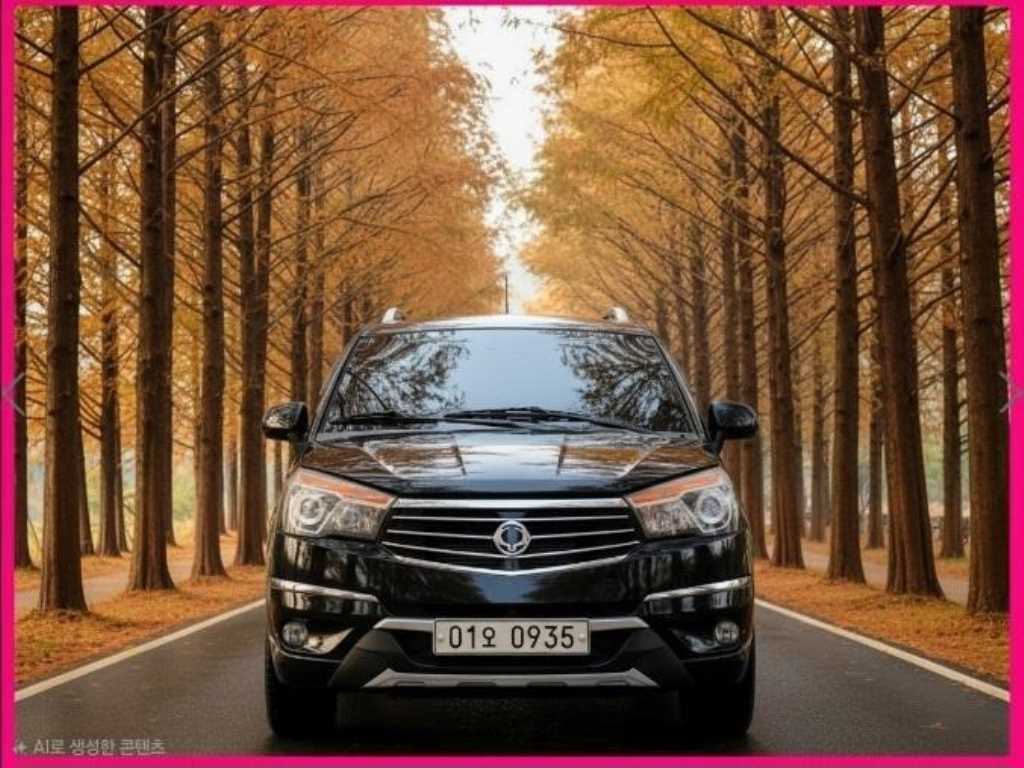 코란도투리스모 4WD TX 9인승 2016년식