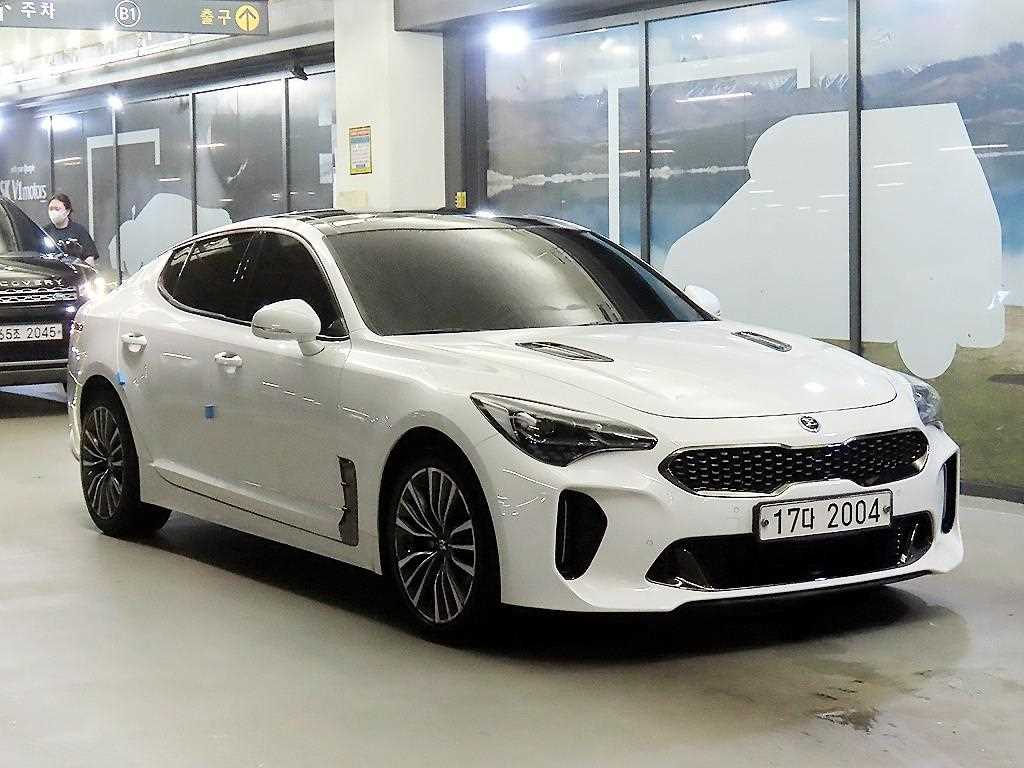 스팅어 가솔린 2.0 터보 2WD 플래티넘 2018년식