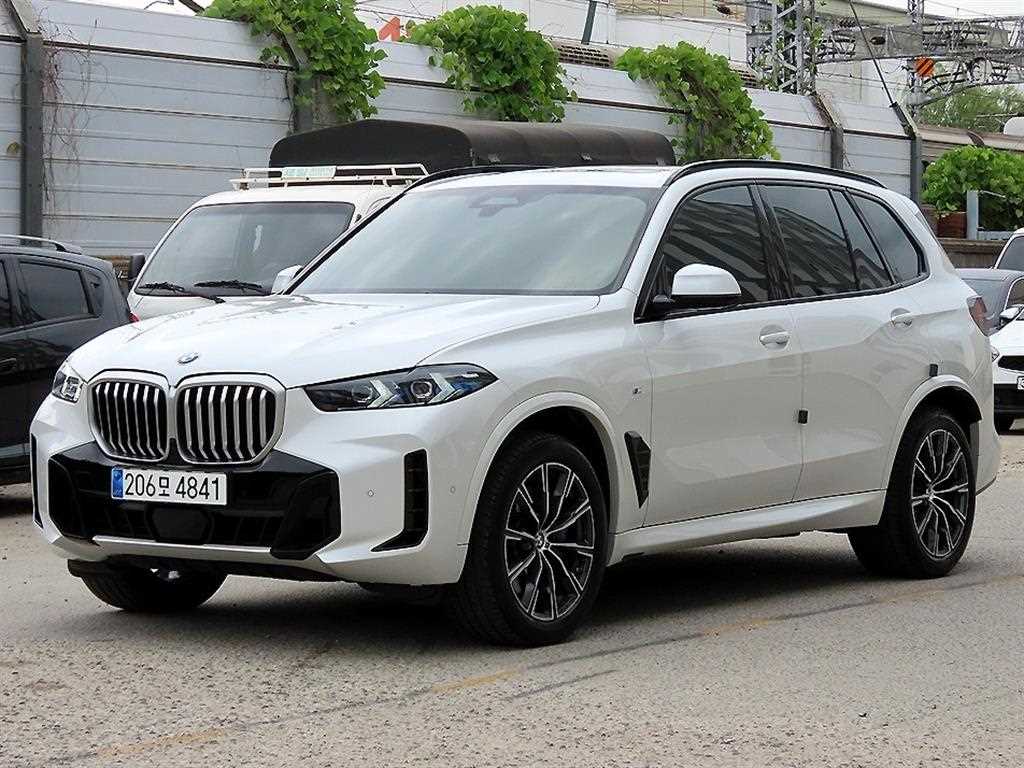 BMW X5 xDrive 30d M 스포츠 사진 2/20