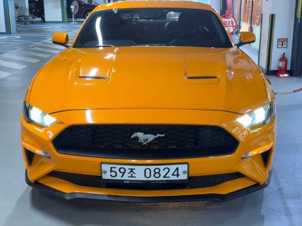 국산차 리스트 차량 이미지