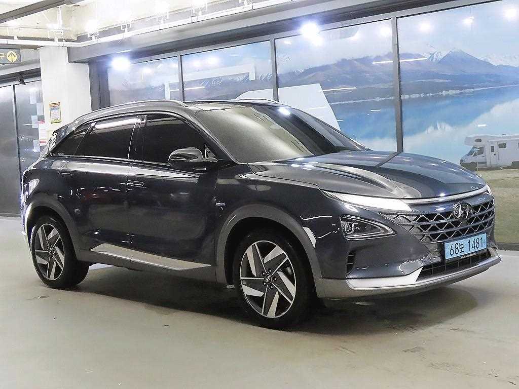 넥쏘 프리미엄 2019년식