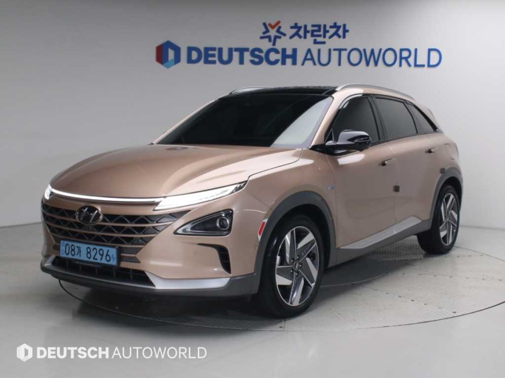 넥쏘 프리미엄 2019년식