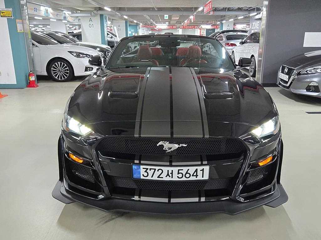머스탱 6세대 5.0 GT 컨버터블 2019년식