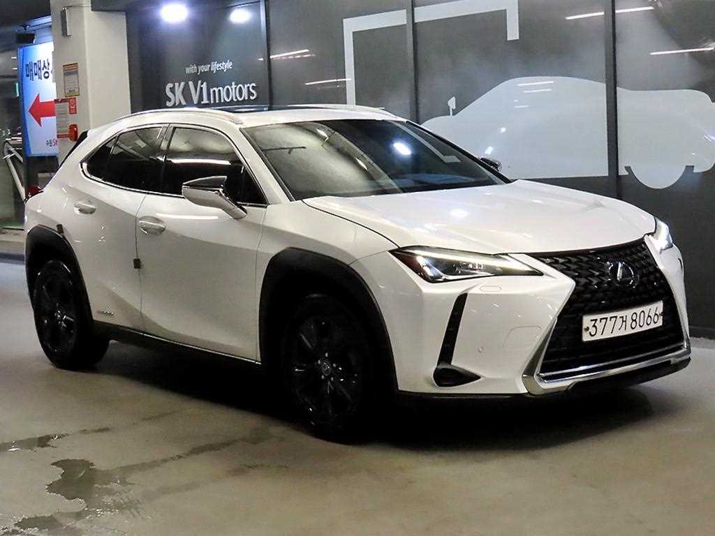 UX 250h 2.0 2WD 2021년식